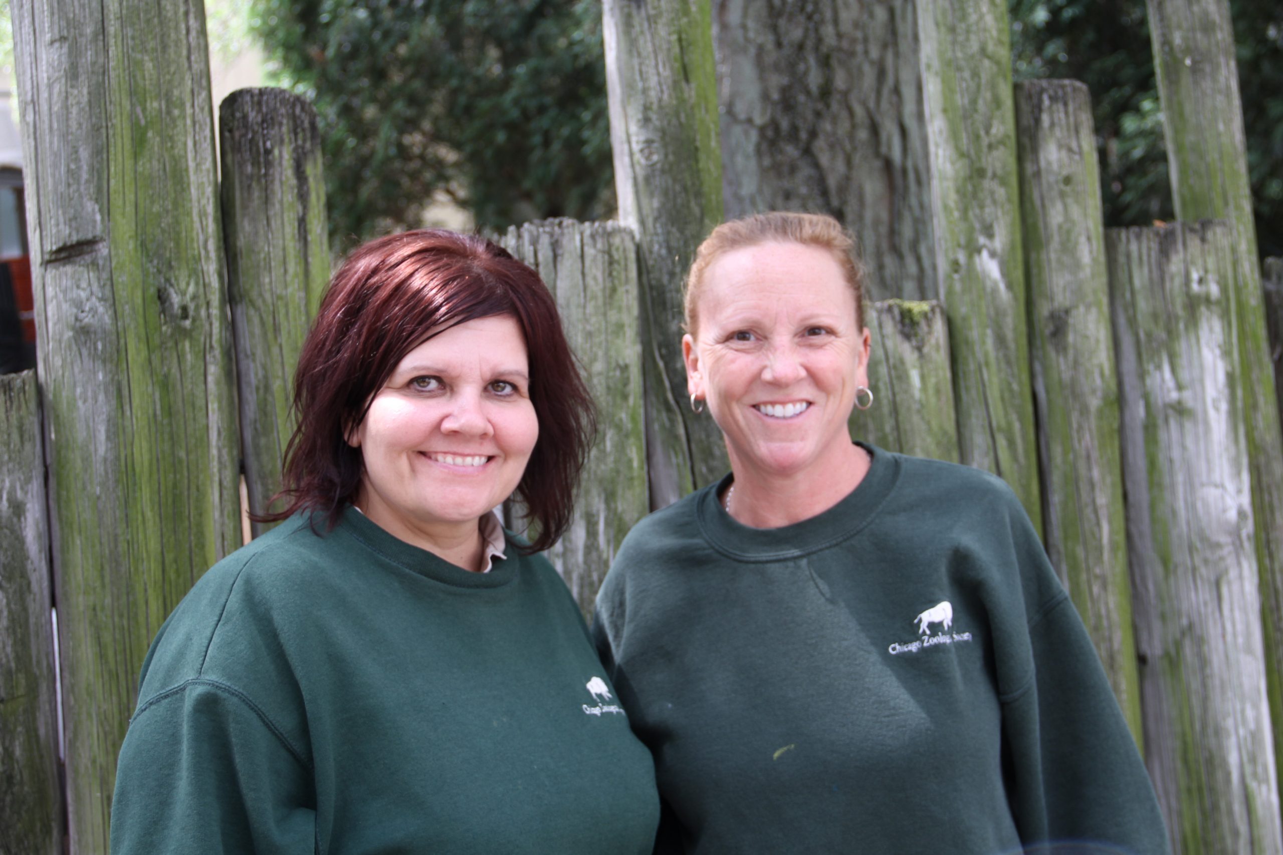 Stewards Spotlight: Lisa McAuliffe and Carrie Sapienza of the Chicago Zoological Society