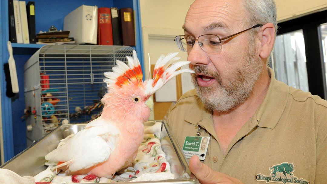 Local 727 Honors Longtime Brookfield Zoo Member and Former Steward Dave Thornton