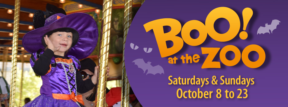 Boo at the Zoo Returns to Chicago Zoological Society’s Brookfield Zoo!